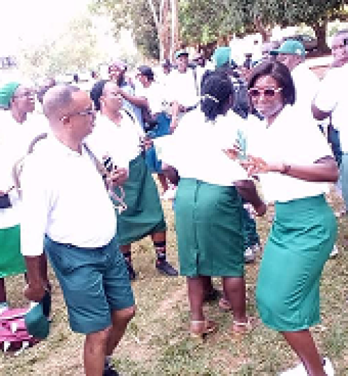 2bbf1606 931e 4329 9bd3 75bc07e13aa7