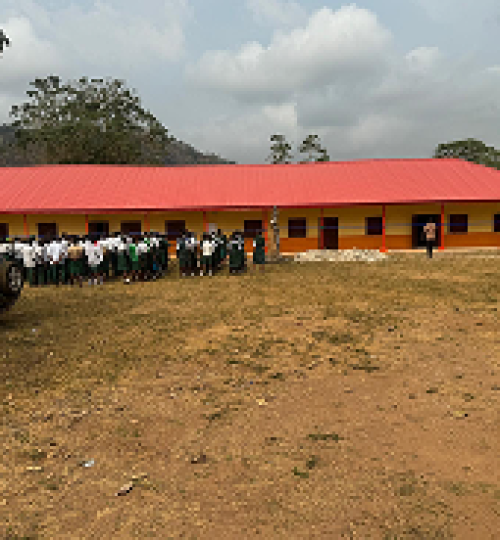 c6e3e5f7 f939 4876 be2c f39d43101e08