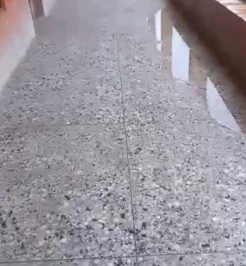 cd37ab1d 3a20 40da b499 bb57cf1be9db