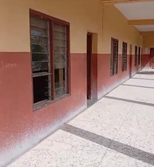 ce35ac8f 297e 49d6 957f e3132bc6f5dd